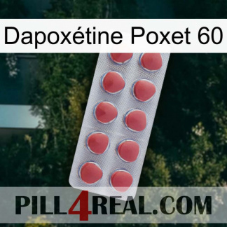 Dapoxétine Poxet 60 18